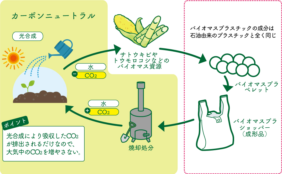 ソース画像を表示