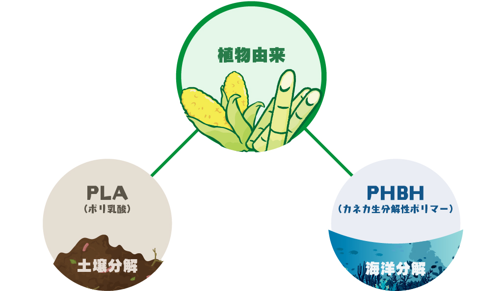 生分解性プラスチックの種類