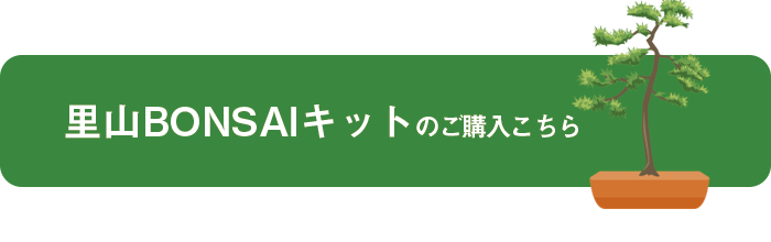 里山BONSAIキットはこちら