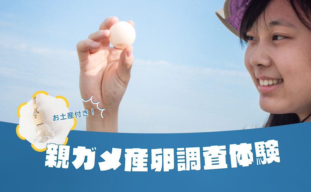 【2022年分終了】親ガメ産卵調査参加チケット｜カメ頼みチャームのお土産付き｜送料無料