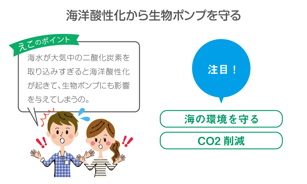 海洋酸性化から生物ポンプを守ろう