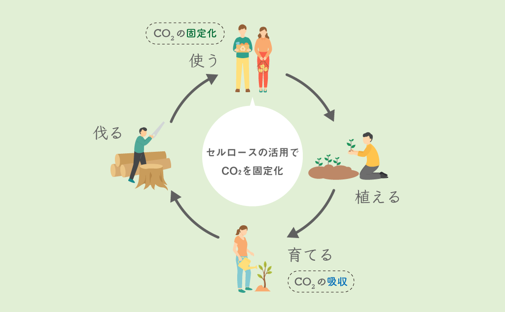 セルロースの活用でできる循環の輪