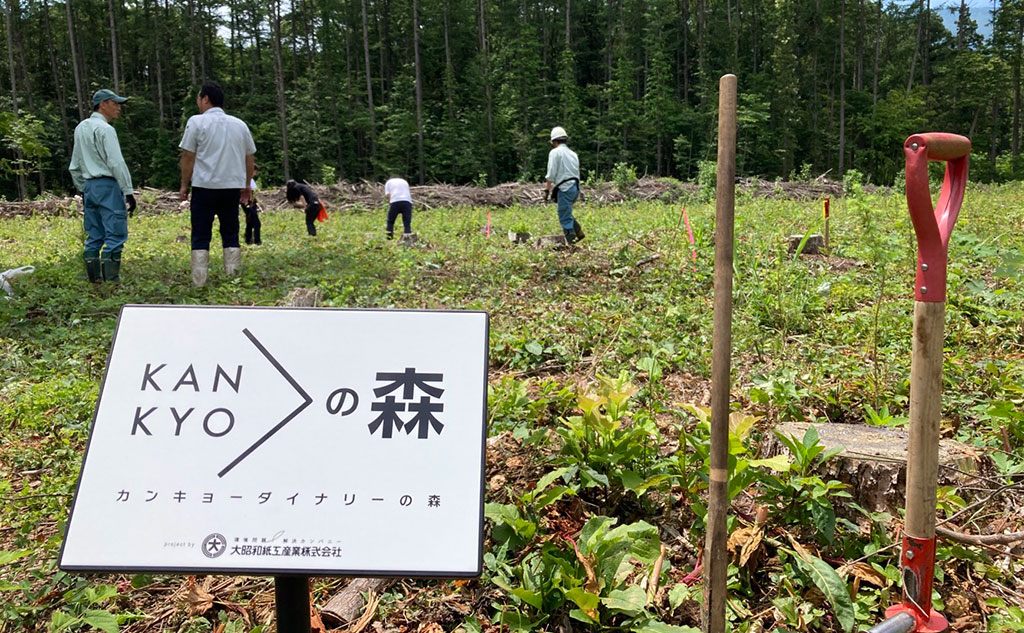 長野県信濃町のカンキョーダイナリーの森