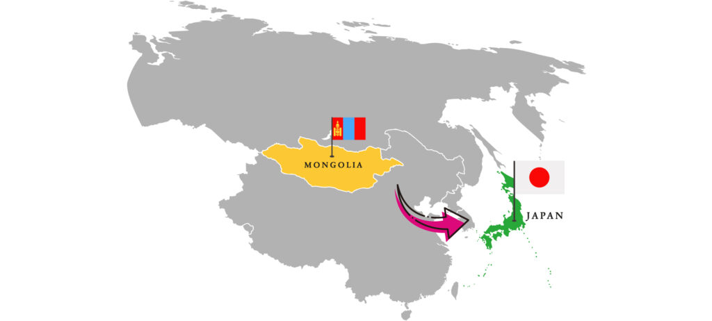 日本国内で植林