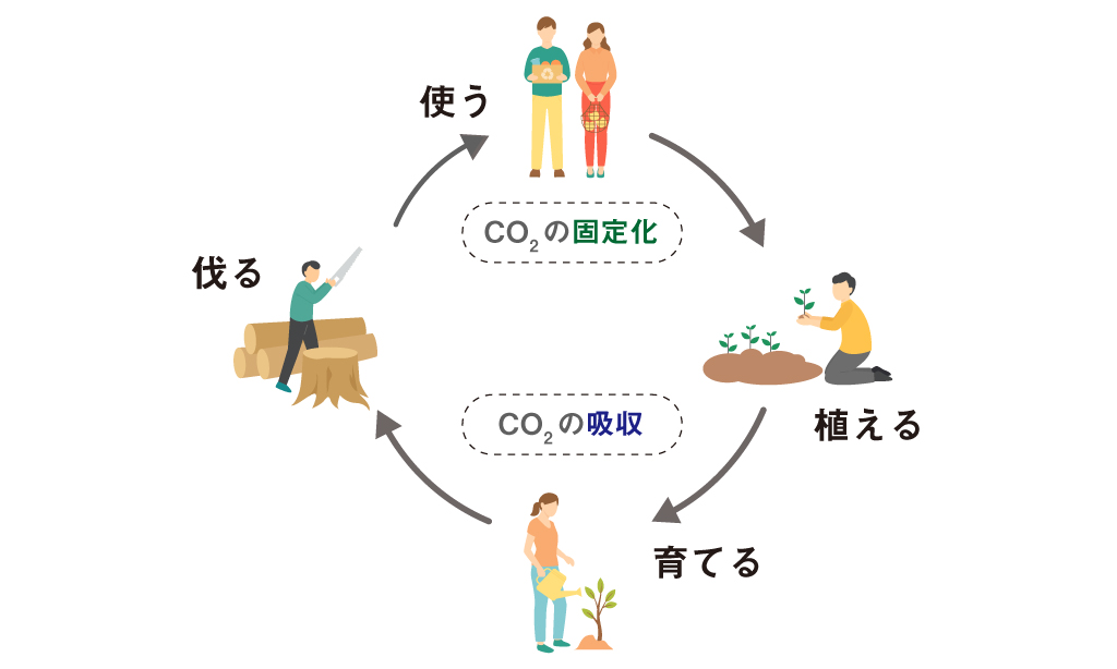 セルロースの活用でCO2を固定化