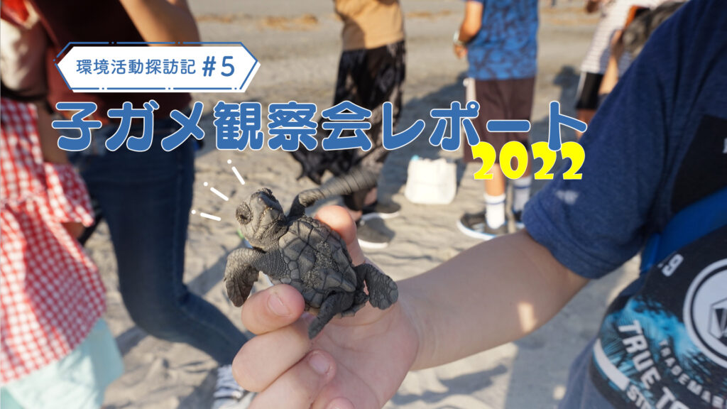 子ガメ観察会レポート2022｜環境活動探訪記