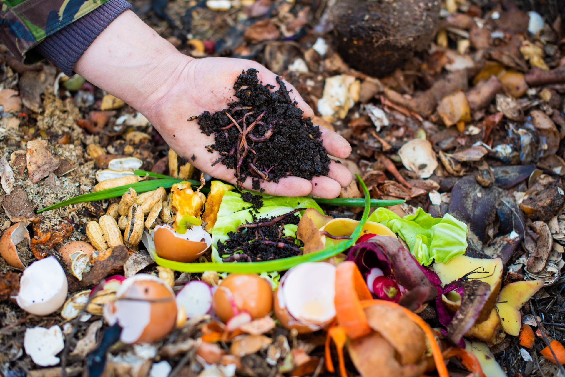 column-compost