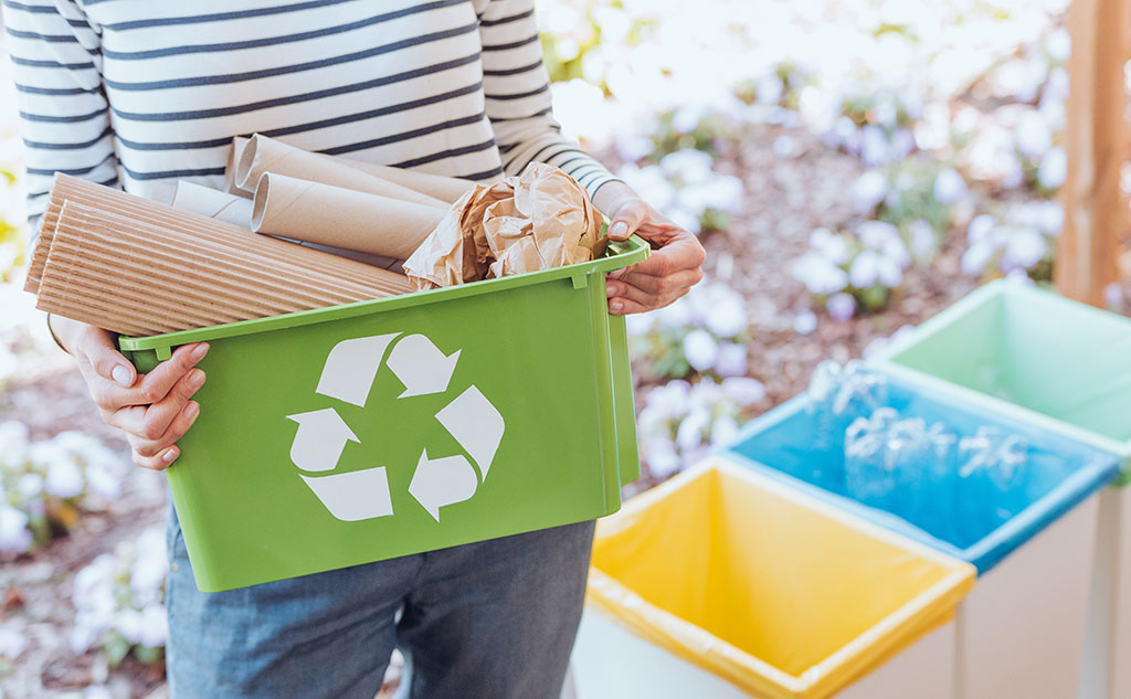 脱プラスチックの取り組み事例のまとめ