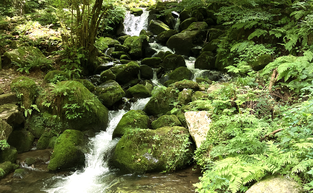 夏休みは親子で自然の中でアーシング