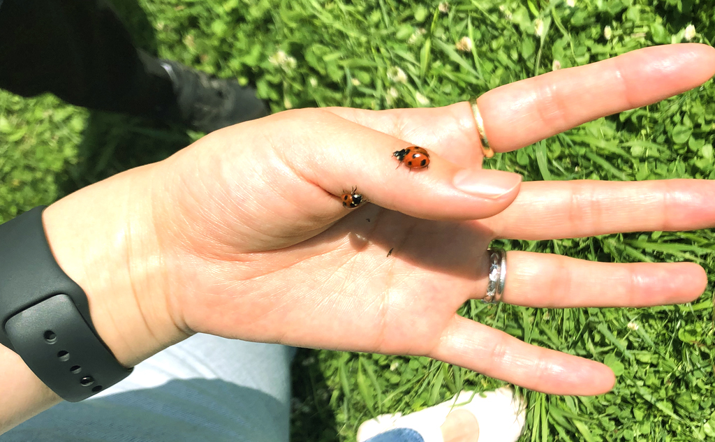 夏休みは親子で自然の中でアーシング