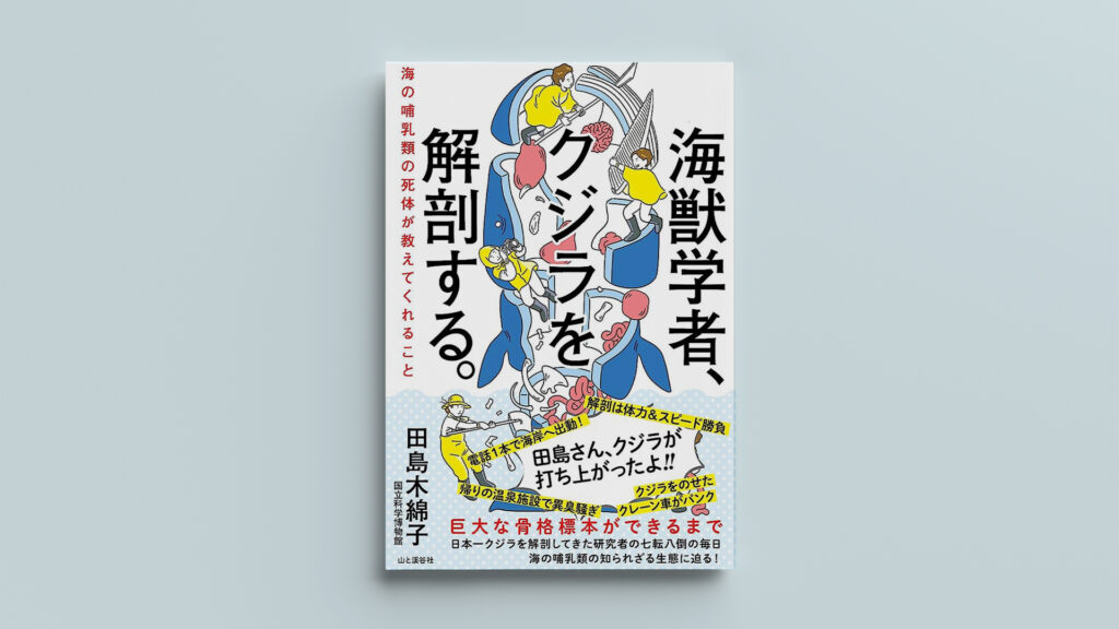 なぜ、クジラの胃から海洋プラスチックごみ!?｜「海獣学者、クジラを解剖する。」