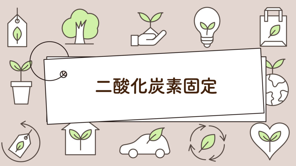 二酸化炭素固定とは？1分で学べる環境問題