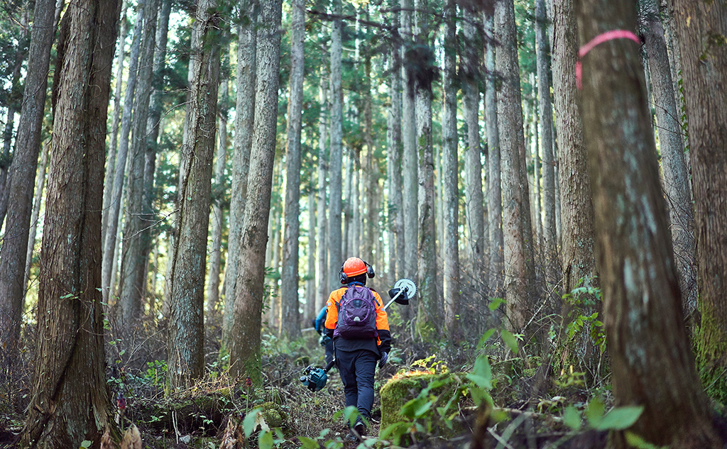 森林整備をする女性