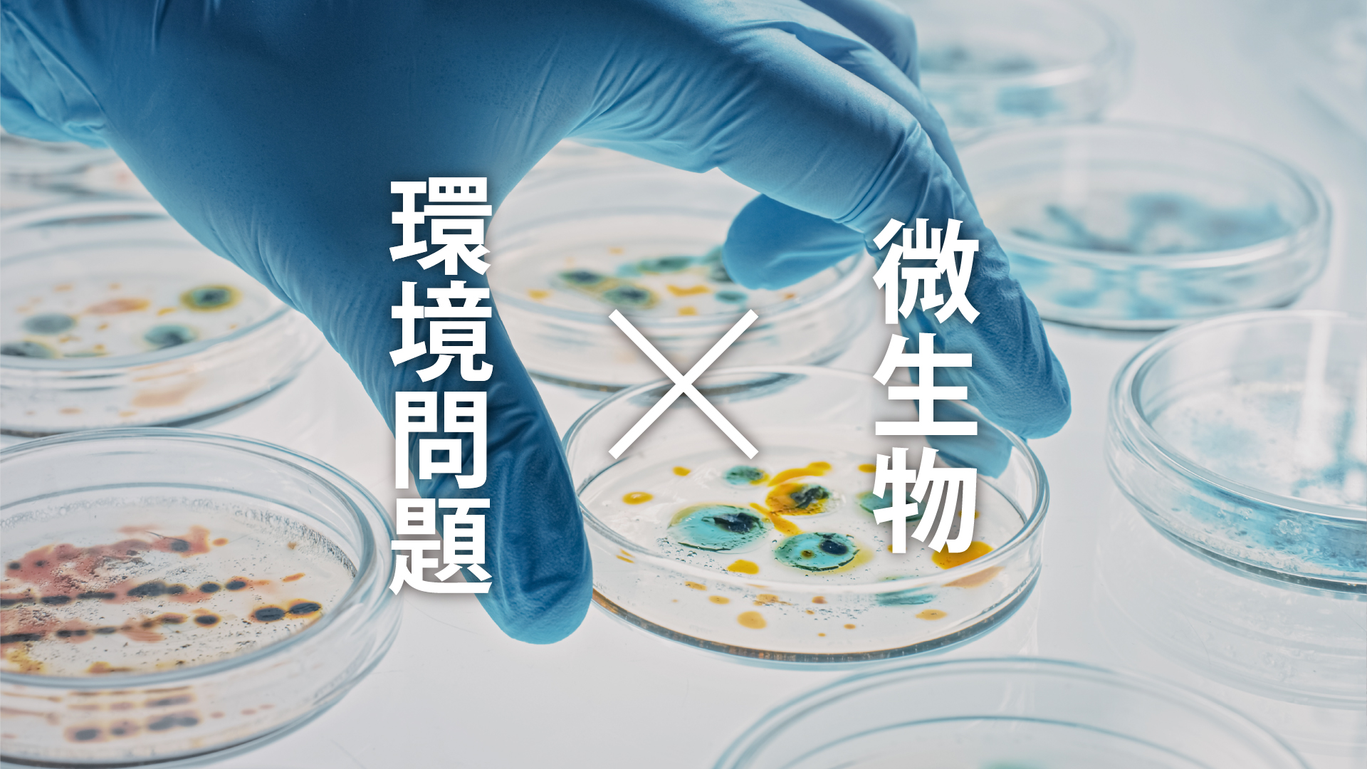 【中古】 有機物負荷と環境浄化 微生物生態研究会 微生物で環境問題を解決！地球を救う環境浄化研究の取り組みを紹介