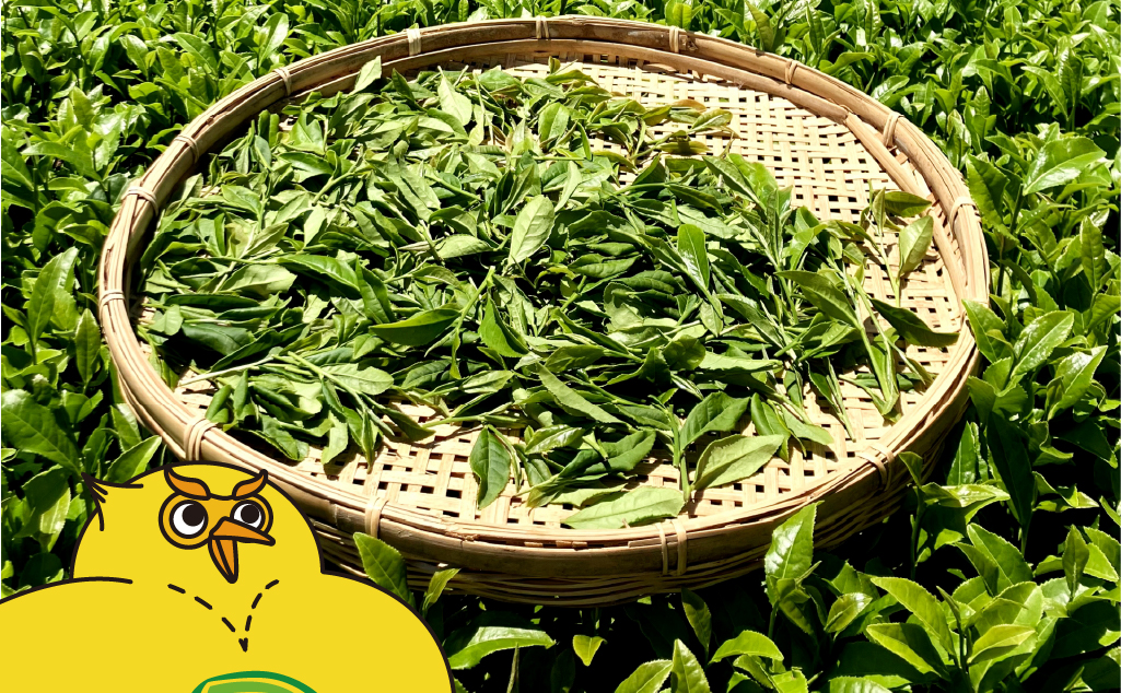 環境問題解決カンパニーを探せ！_Blue Farm篇1