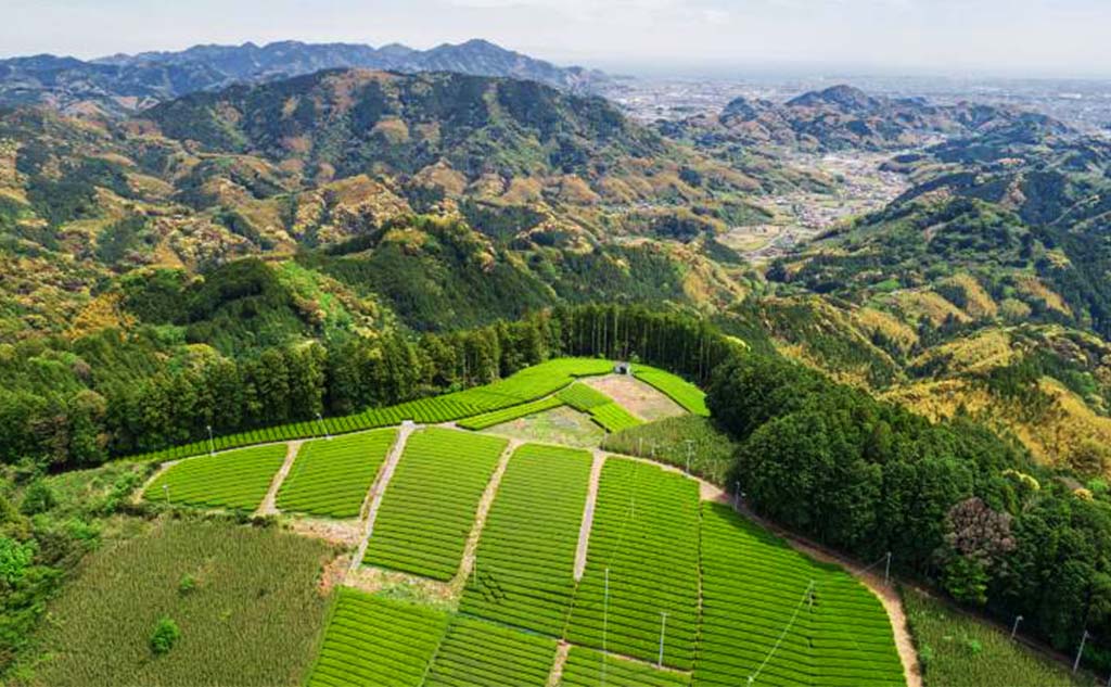 環境問題解決カンパニーを探せ！_Blue Farm篇_ChaaS2