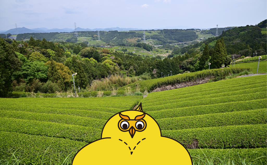 環境問題解決カンパニーを探せ！_Blue Farm篇_お茶と環境問題1