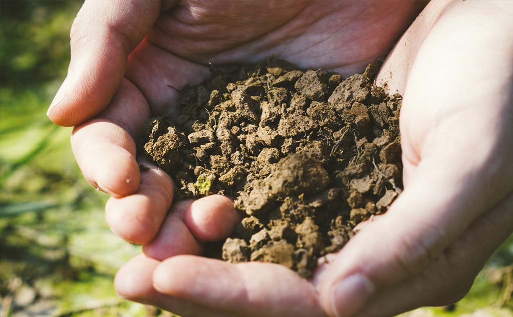 環境問題解決カンパニーを探せ！_Blue Farm篇_お茶と環境問題3