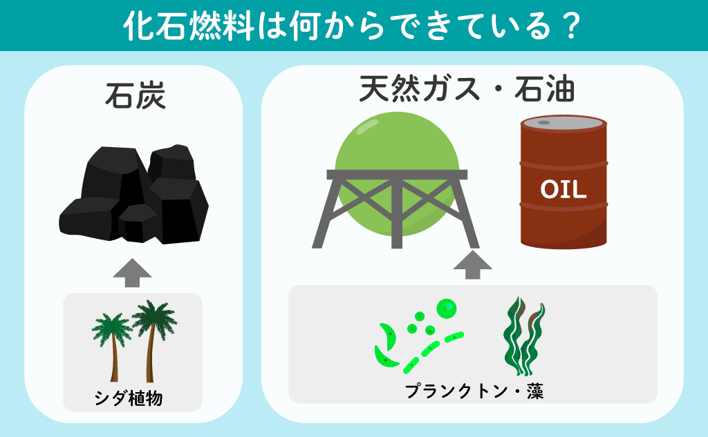 化石燃料は何からできている?
