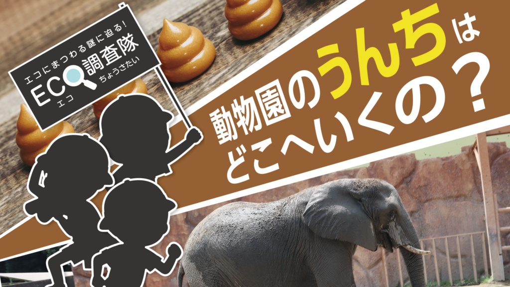 【現地調査！】動物園のうんちはどこへいくの？｜エコ調査隊
