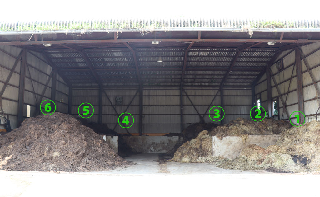 堆肥場