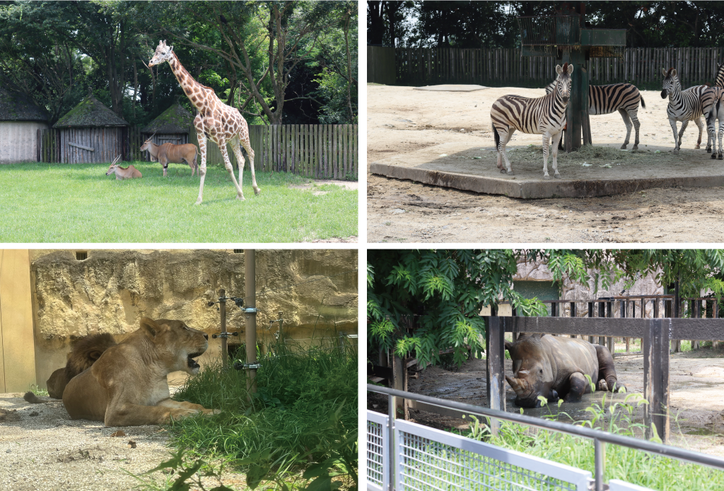 東武動物公園の動物たち