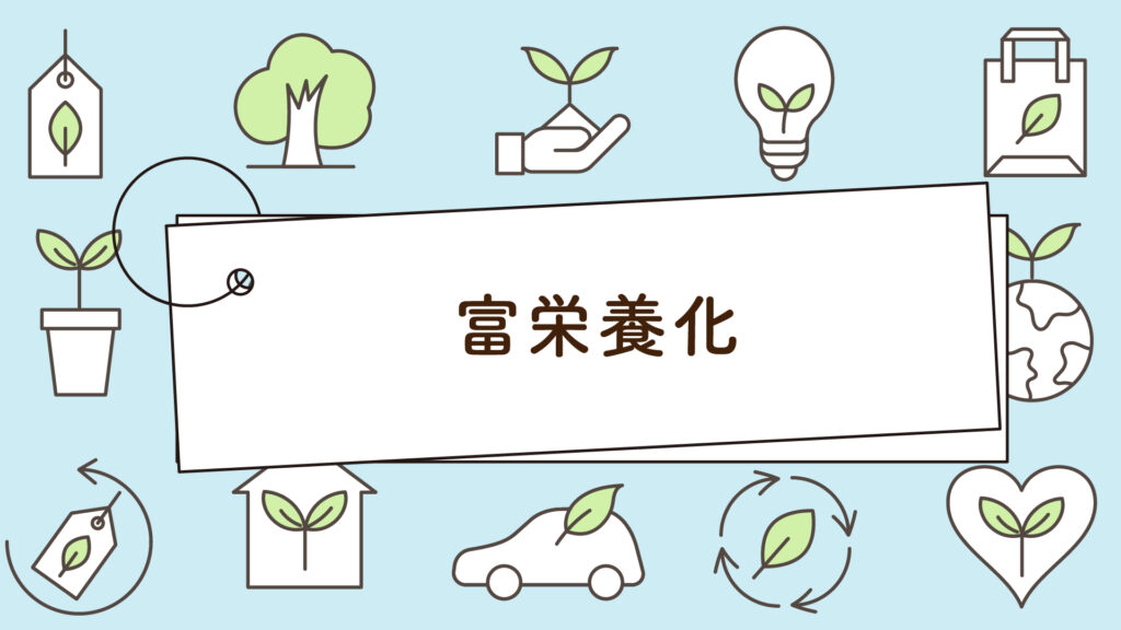 富栄養化ってなぜ問題なの？｜1分で学べる環境問題