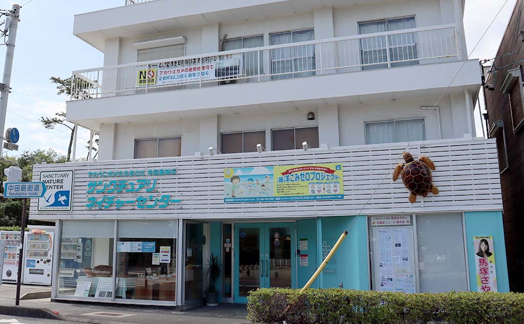 サンクチュアリネイチャーセンター_ウミガメの旅立ちを見届ける！子ガメ放流2025_環境活動探訪記