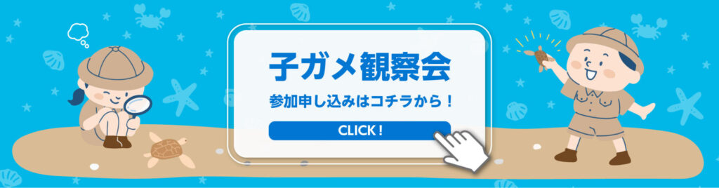 子ガメ観察会申込フォームボタン