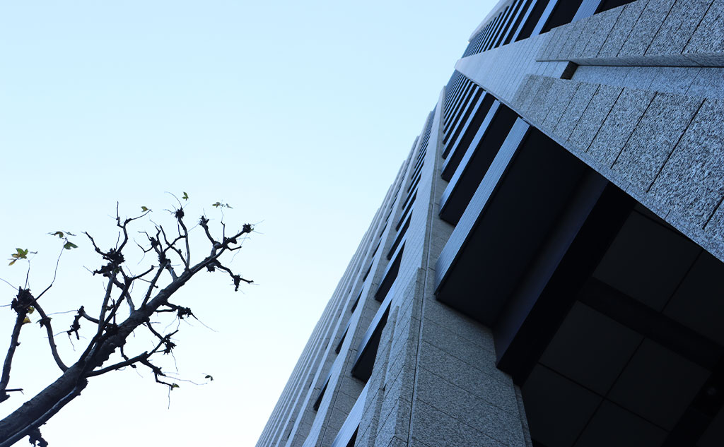 グリーンバード日本橋