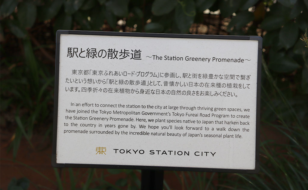 駅と緑の散歩道