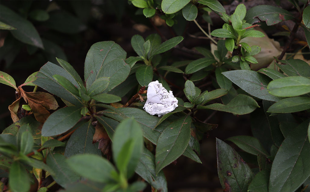 落ちているごみ｜グリーンバード日本橋チーム