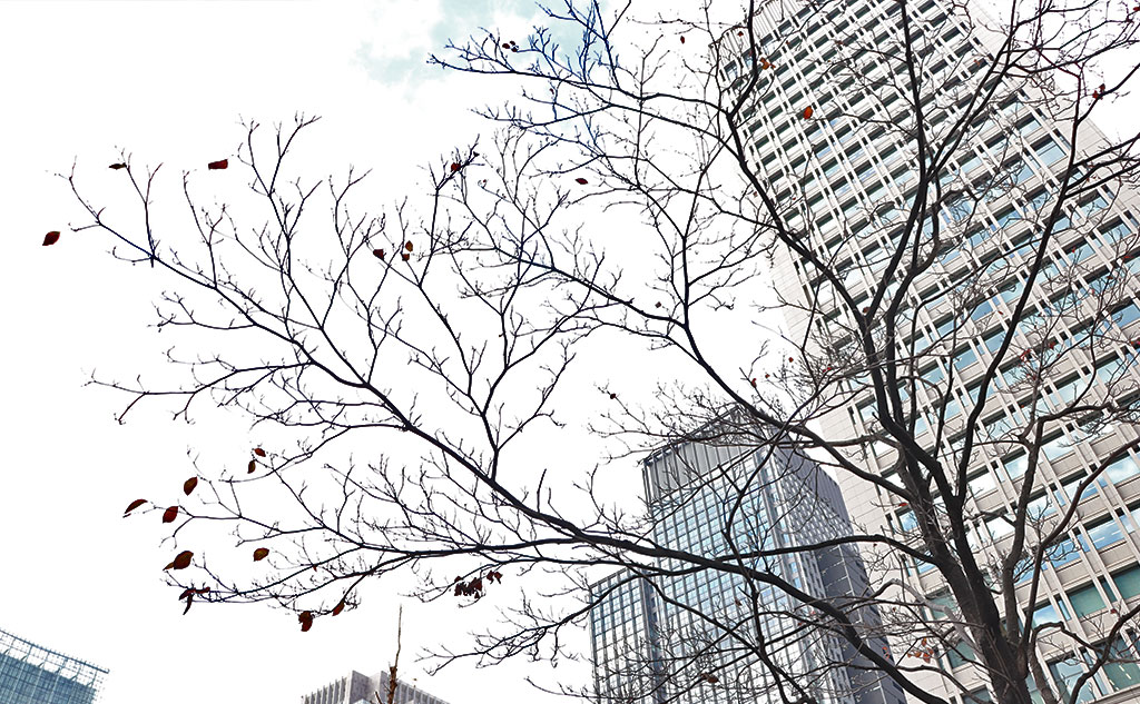 東京の朝｜グリーンバード日本橋チーム