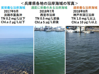 兵庫県各地の沿岸海域の写真｜エコ調査隊