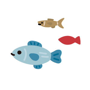 漁獲量｜エコ調査隊