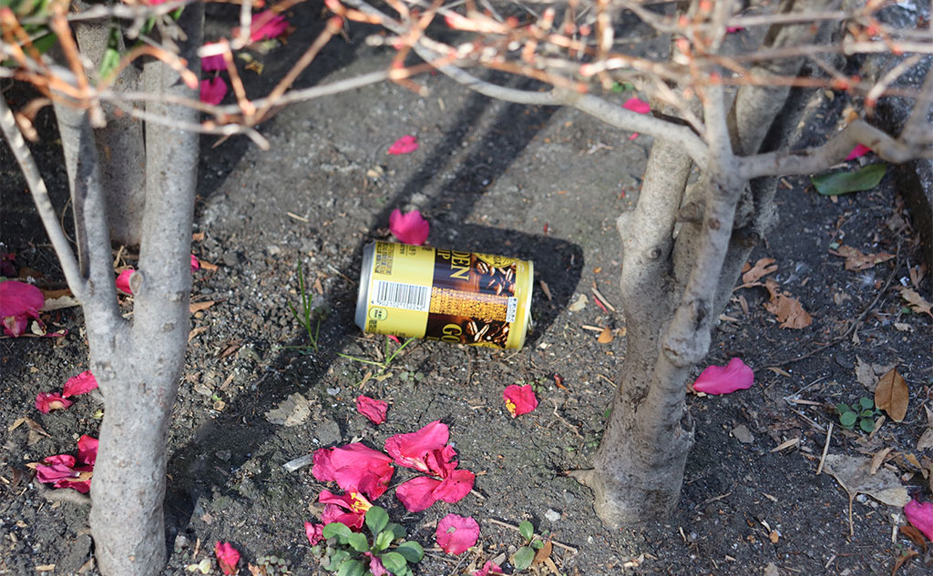 日本橋エリアのごみ