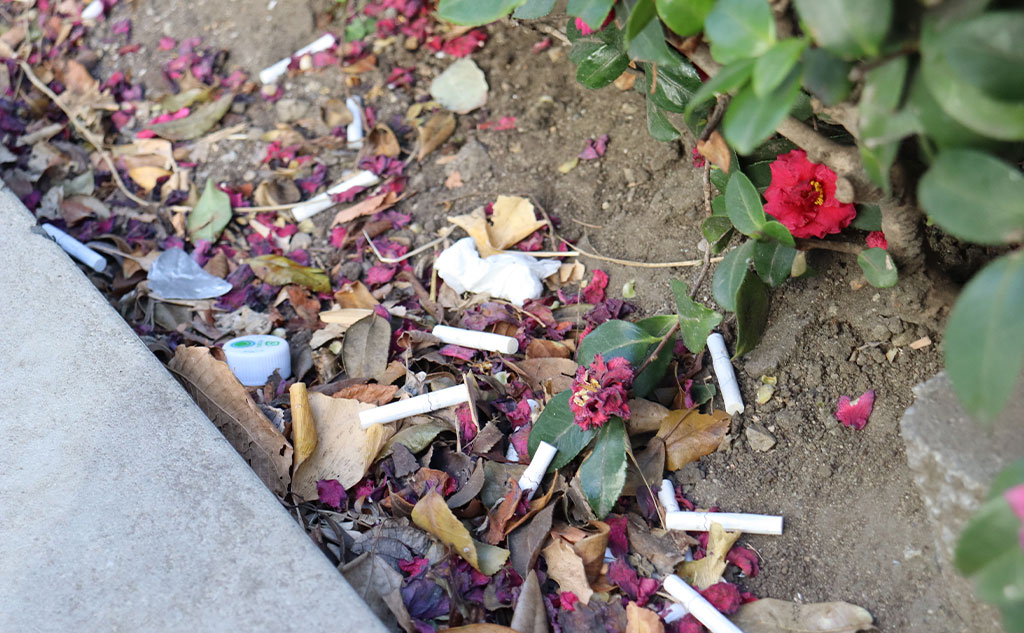 日本橋エリアのごみ