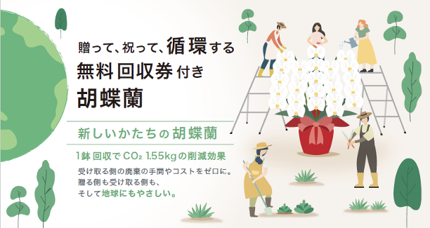 就任・開店祝いの胡蝶蘭　無料回収サービス付きギフト「ecoRan」を開始
