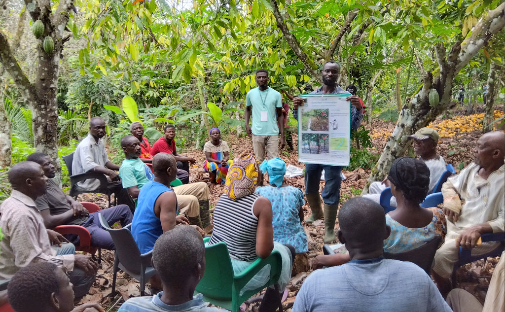 トレーニングスクール｜株式会社明治