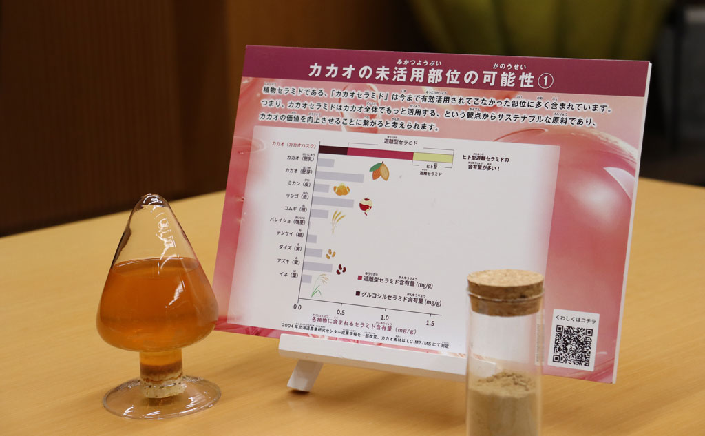 カカオセラミドとカカオ未活用部位の可能性
