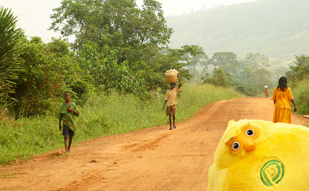 ガーナの日常の様子