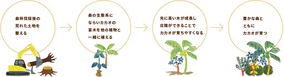 アグロフォレストリー