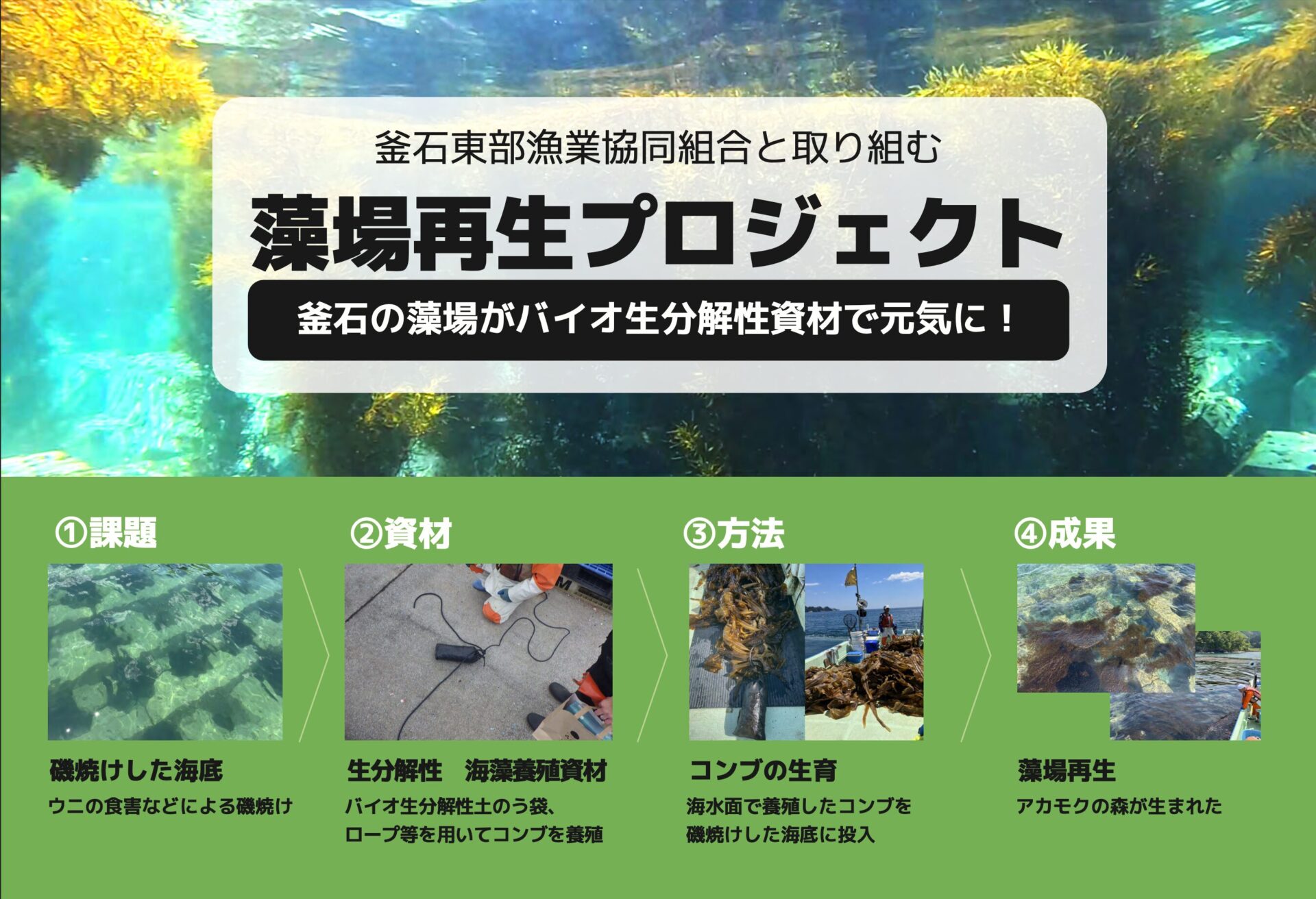 ニチモウの藻場再生プロジェクト
