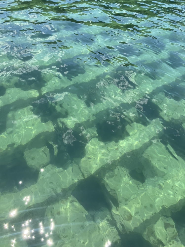 磯焼けした海底｜出典：ニチモウ株式会社