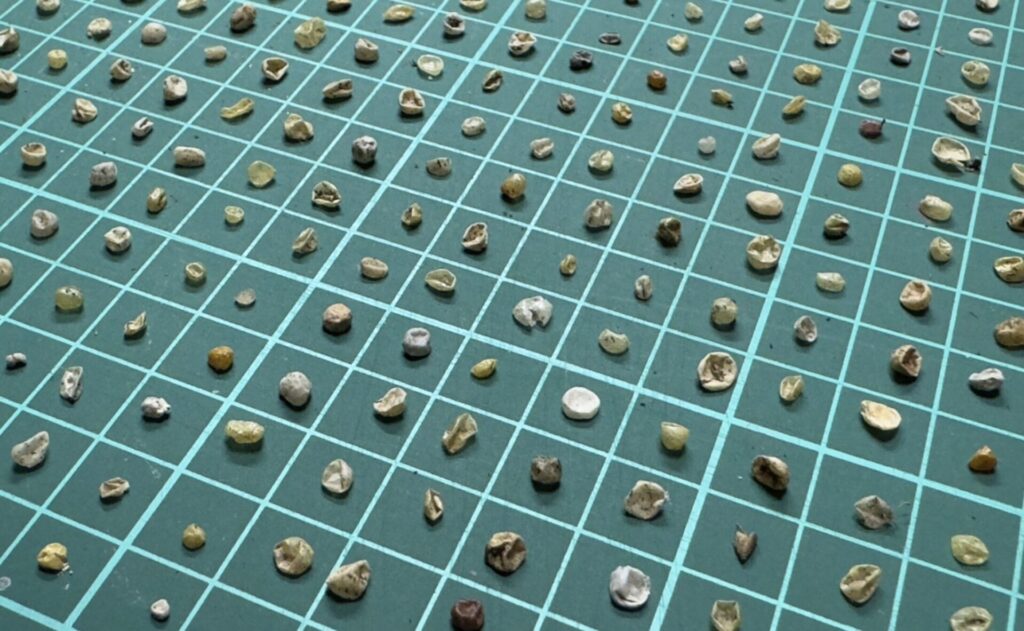 NPO法人クリーンオーシャンアンサンブル、第5弾コラムを公開「マイクロプラスチック回収技術の最前線」