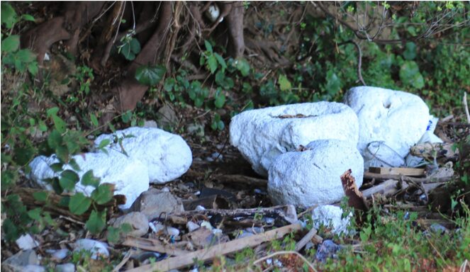 劣化した海洋ごみ.注目ポイント3:市民科学が対策の精度を高める