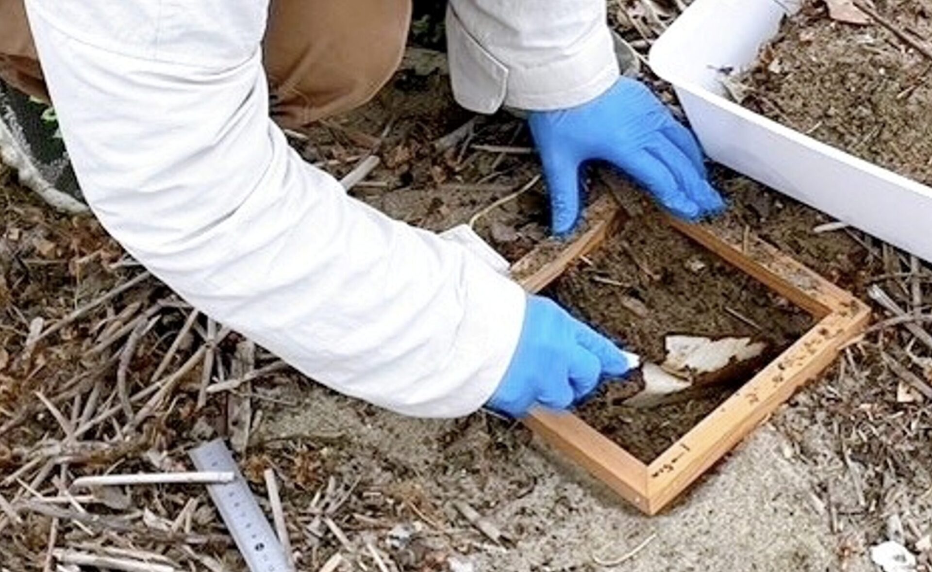 100円ショップで揃う道具で行う市民参加型のマイクロプラスチック調査.