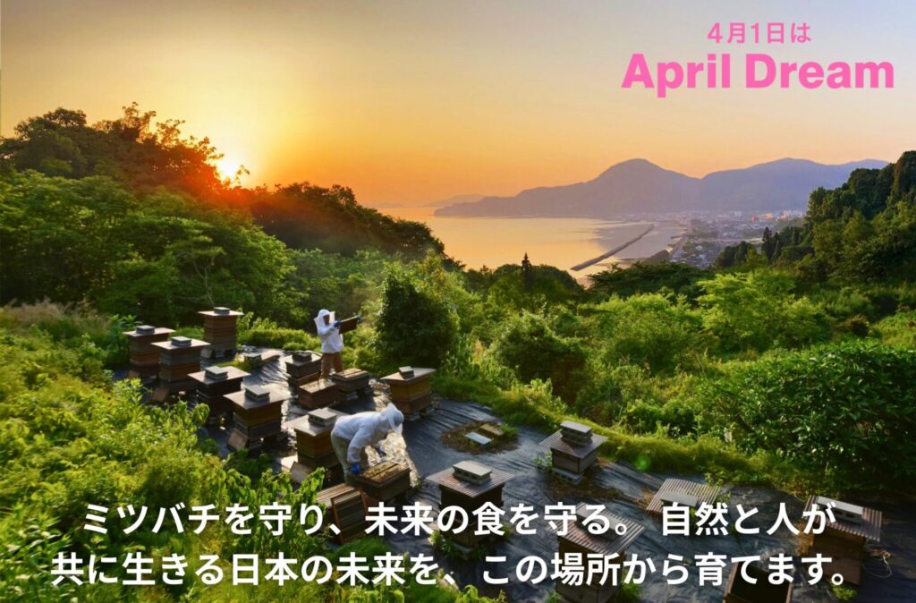 あなたの未来の食に彩りを届けることに挑戦！自然と人が調和するウェルビーイングな島の実現へ動き出します。