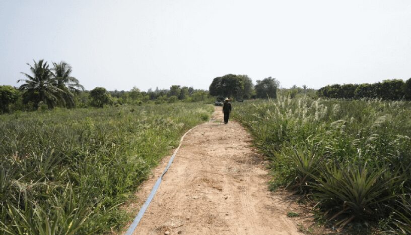 よりよい原材料を求める海外視察
