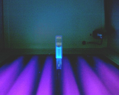 マリンサポニンに紫外線照射で発光確認